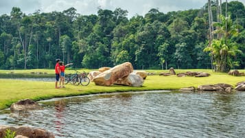 A golf course with a pond, large rocks, and a dense forest in the background.