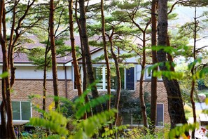 A house surrounded by tall trees. - Casa Seorak Bed and Breakfast (Sokcho)