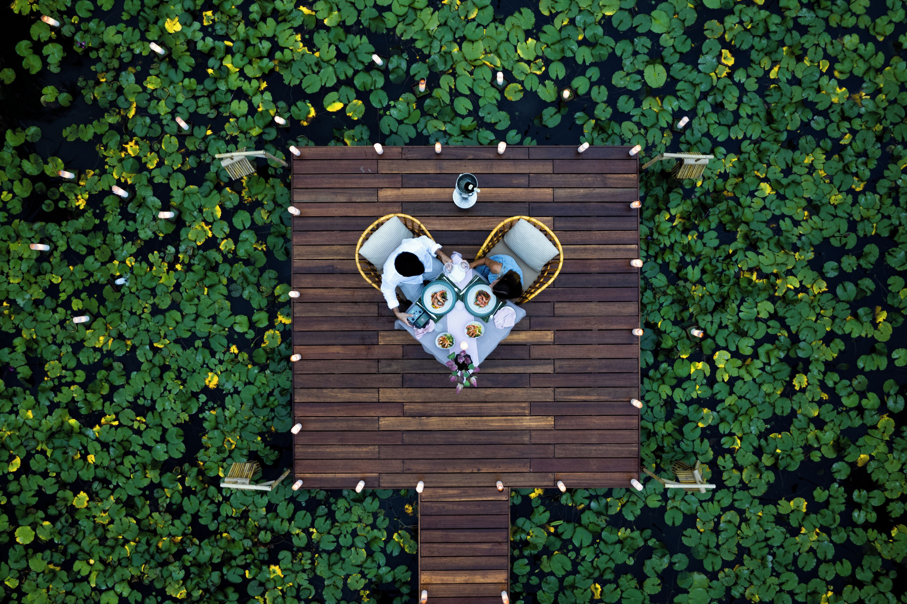 Una cubierta en forma de corazón rodeada de nenúfares.