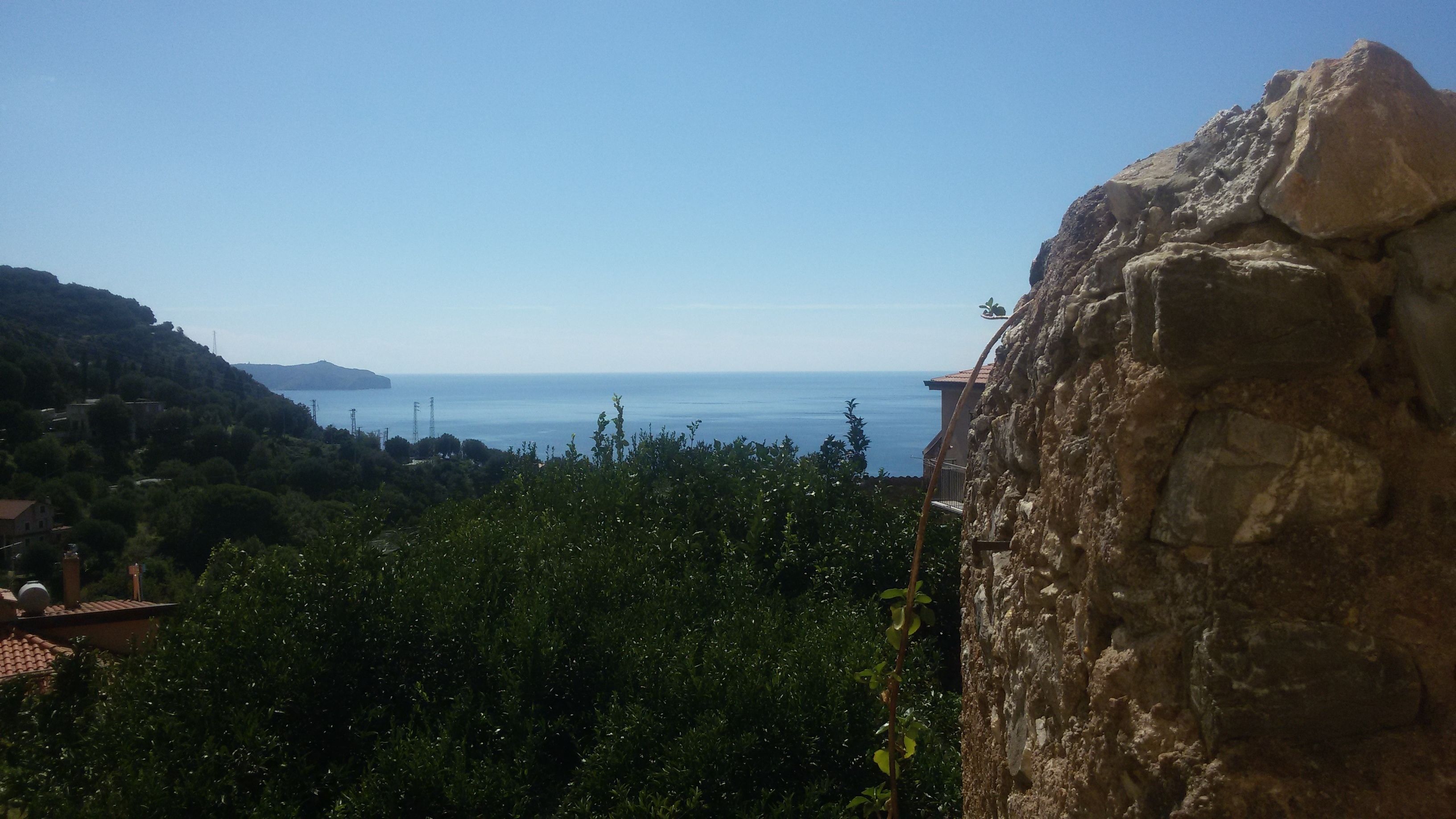 A coastal view with a stone wall and lush greenery.