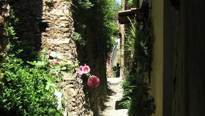A narrow stone pathway flanked by buildings with greenery and flowers. - La Casa sul Blu Albergo Diffuso (Pisciotta)