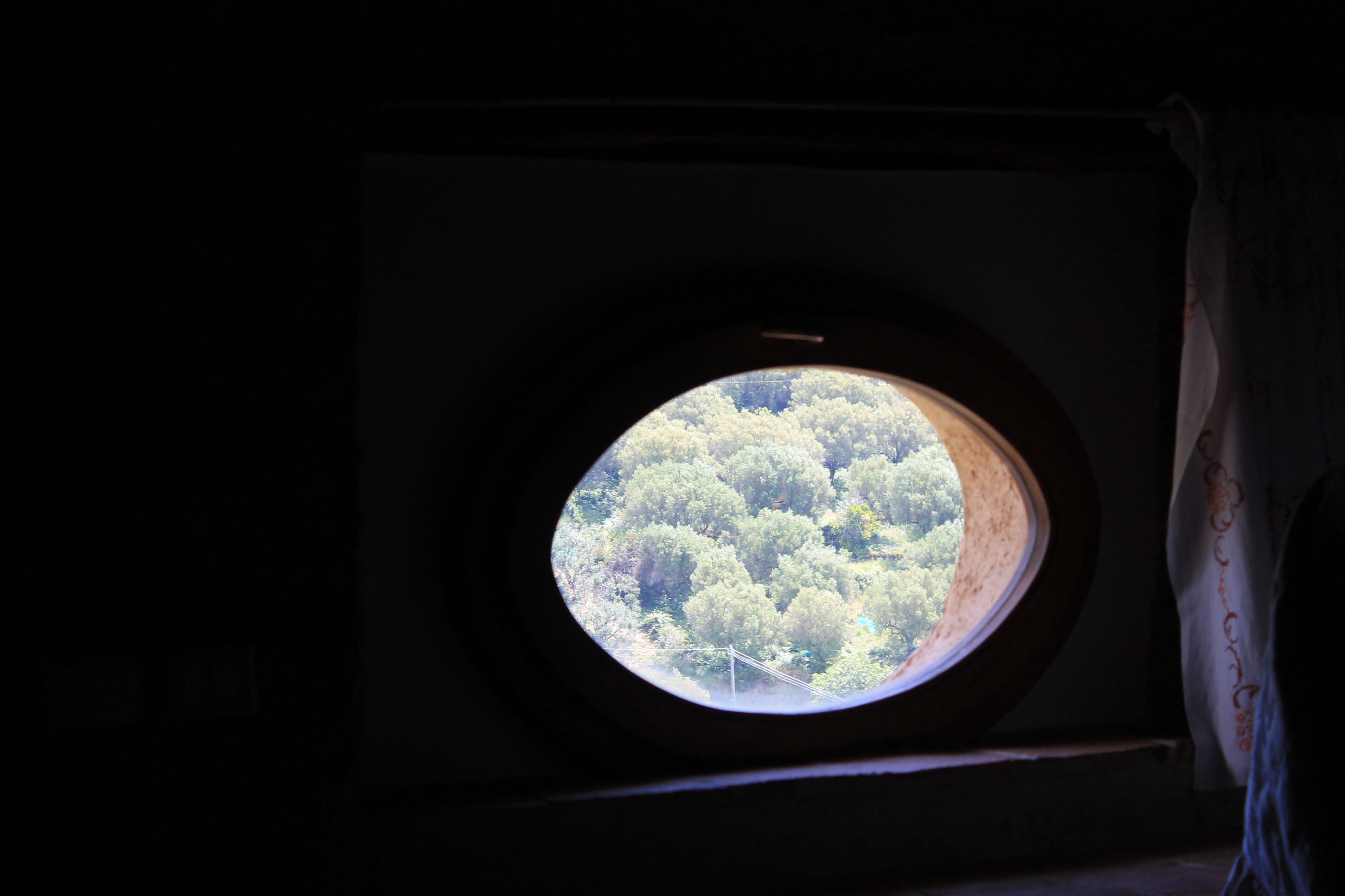 Una ventana redonda con vistas a un bosque frondoso.