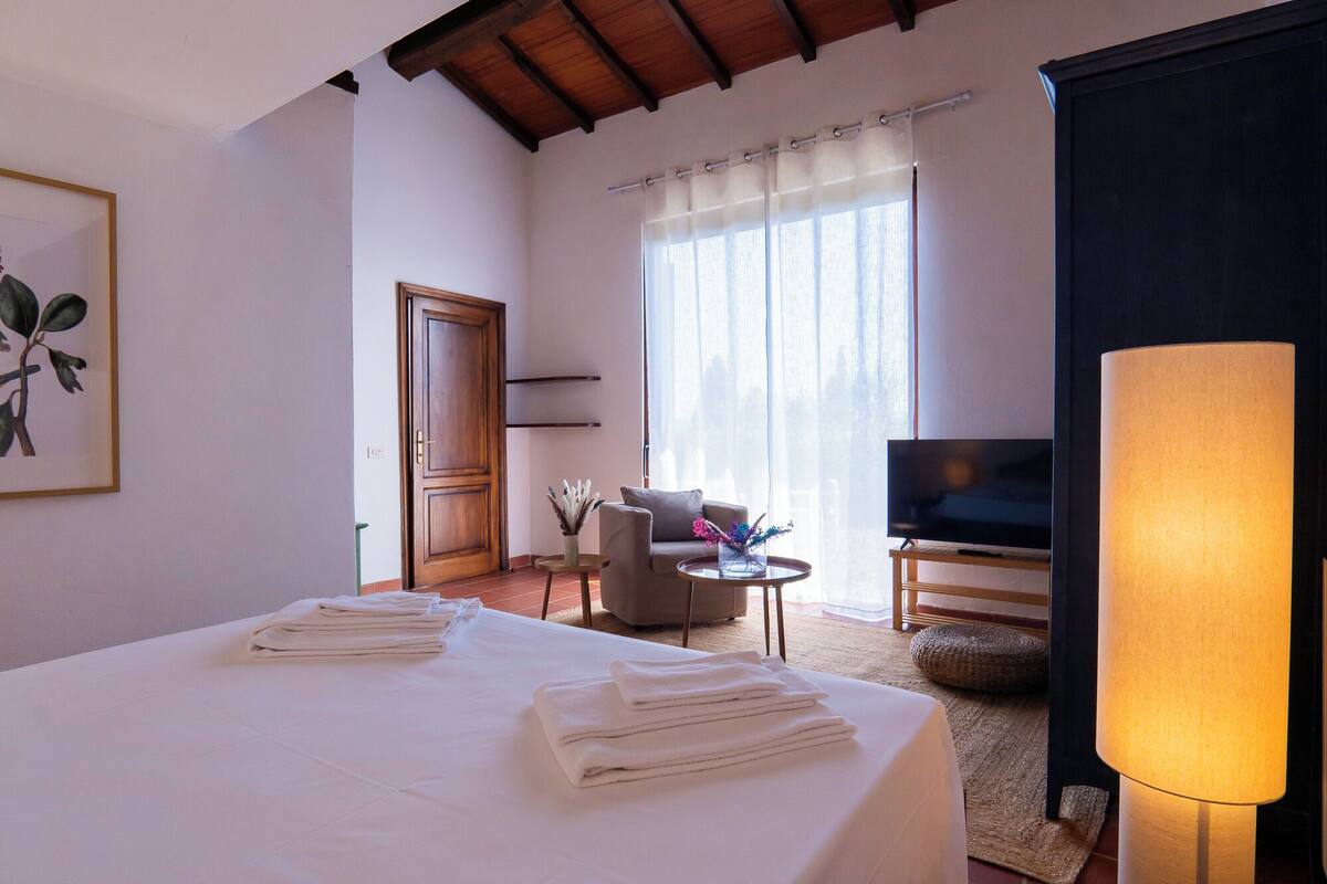Une chambre d’hôtel avec un lit, une télévision, un canapé et une lampe.