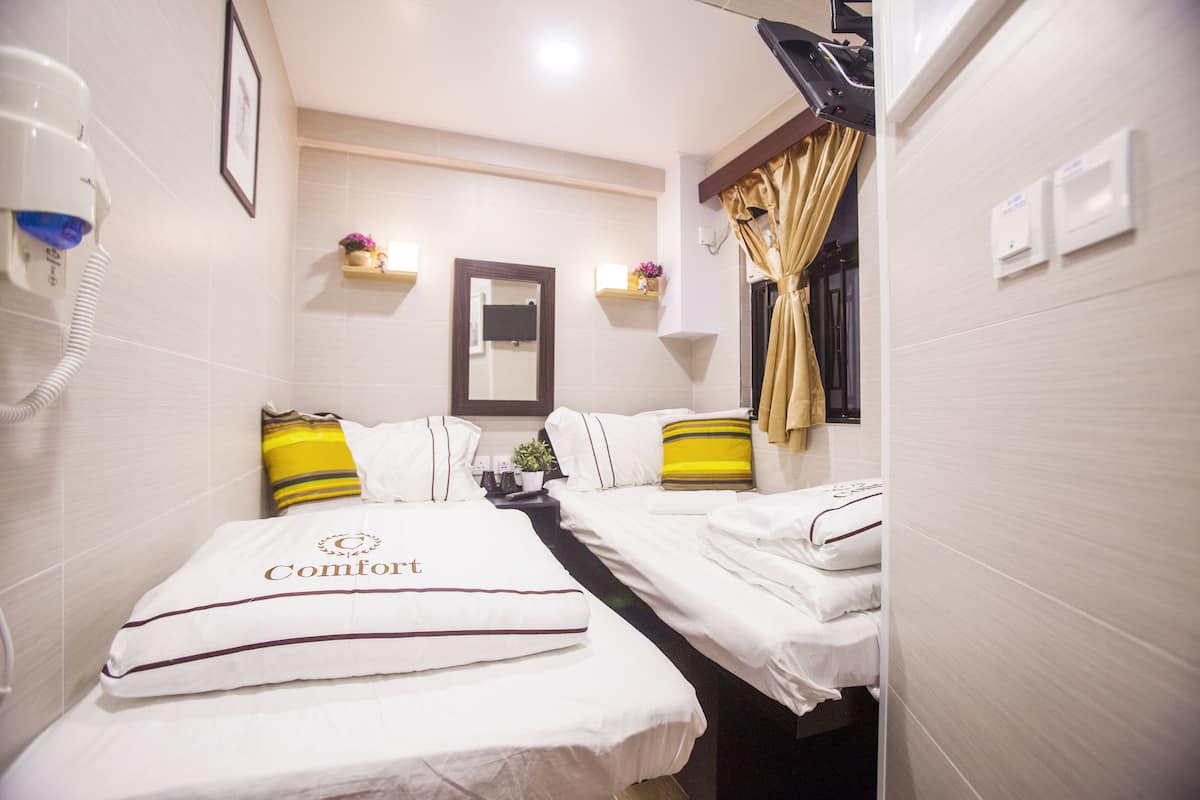 A hotel room with two beds, a hairdryer, a mirror, and a small shelf with a plant.
