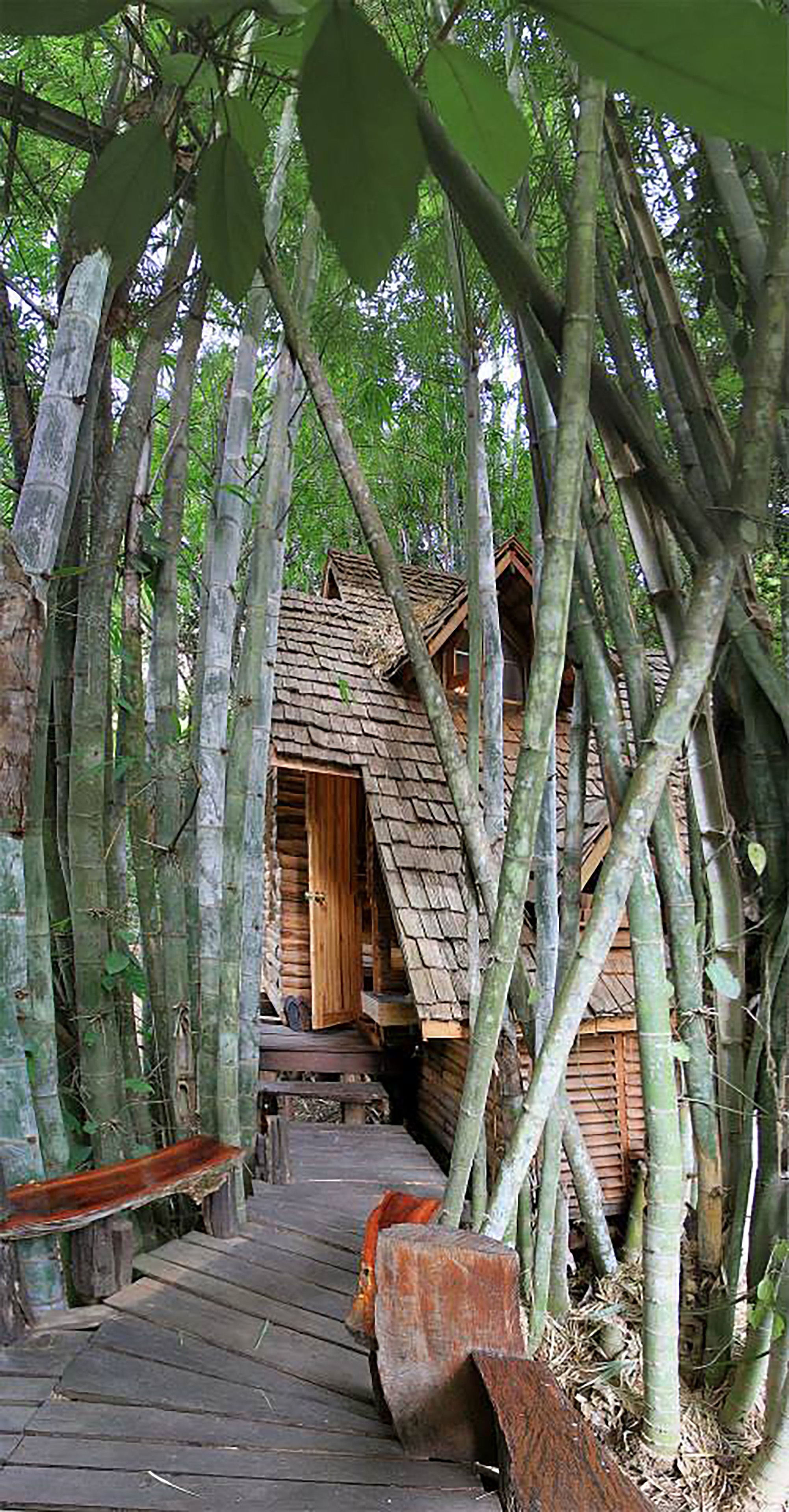 cottage treehouse double | individually decorated, individually furnished, desk