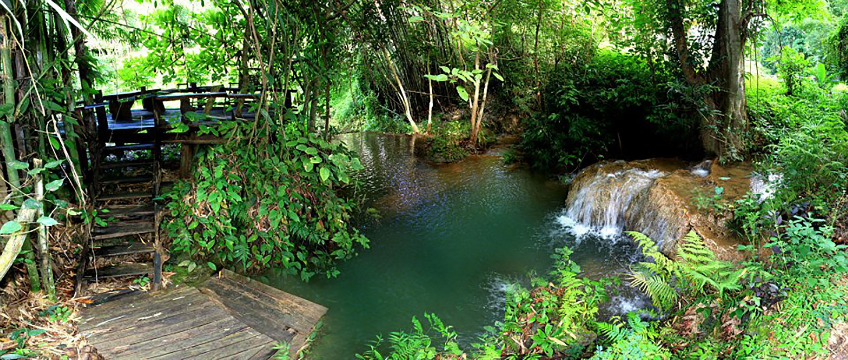 cottage treehouse double | individually decorated, individually furnished, desk