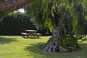 Property grounds - Agriturismo Li Damiani (Otranto)