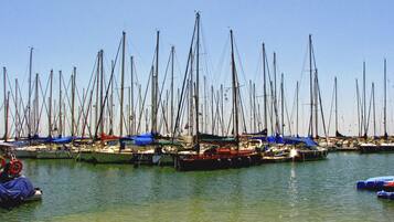 A marina with numerous sailboats docked.
