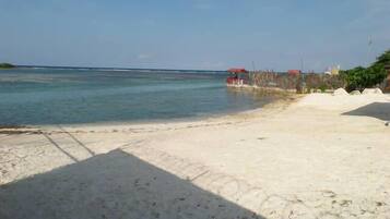 Playa en los alrededores