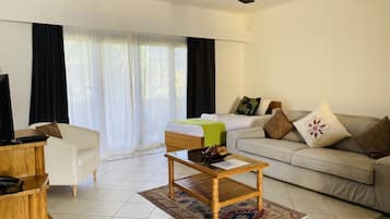 Basic Apartment | Living area | 24-inch LED TV with cable channels, TV