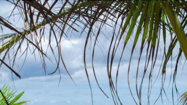 Un sendero arenoso que conduce a un mar turquesa, rodeado de una vegetación verde exuberante.