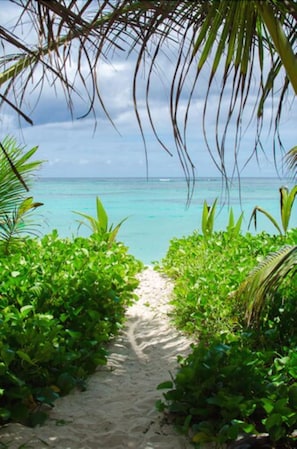 Un sentier sablonneux qui mène à une mer turquoise, bordé d’une végétation luxuriante.