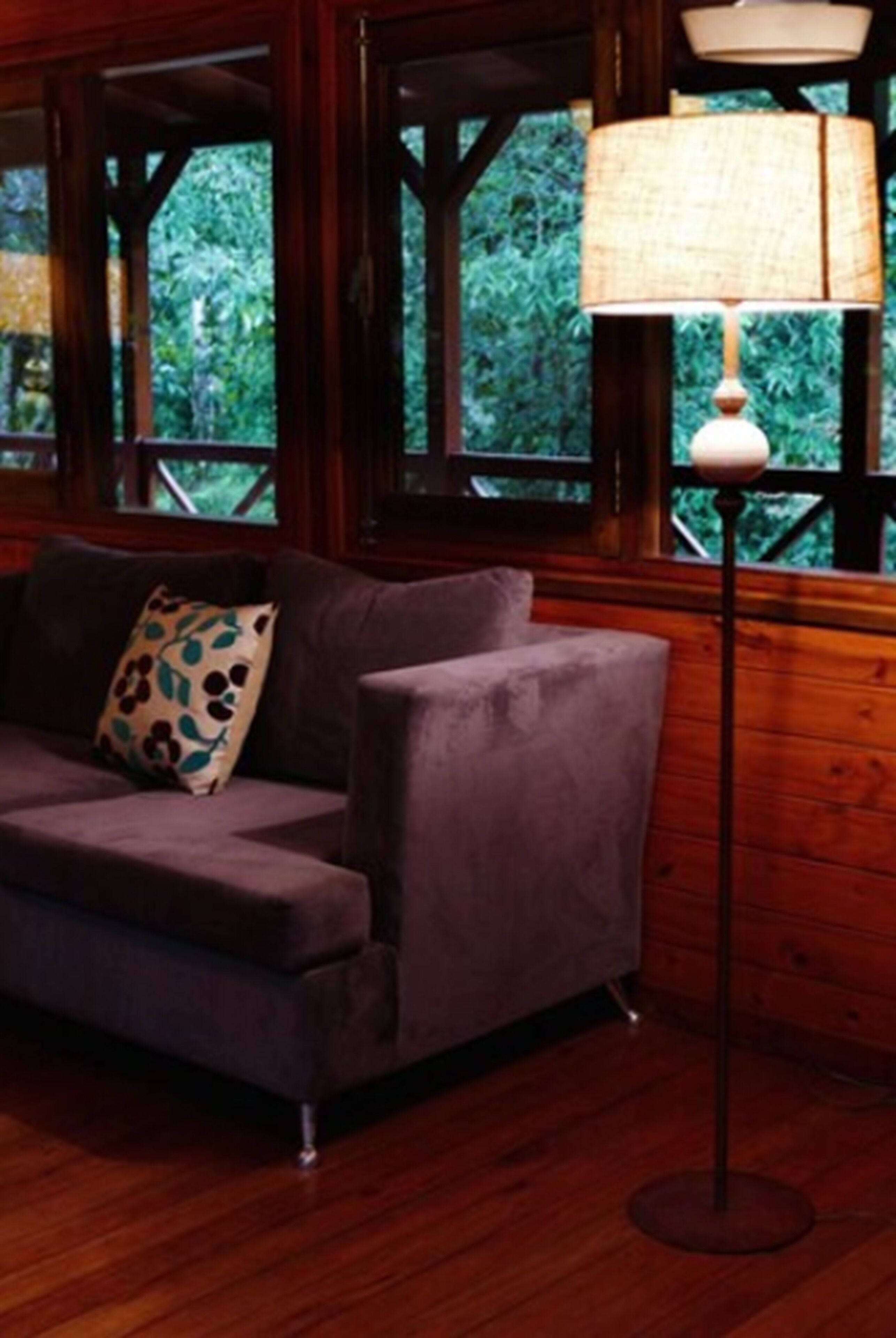 Foto - Selva de Laurel