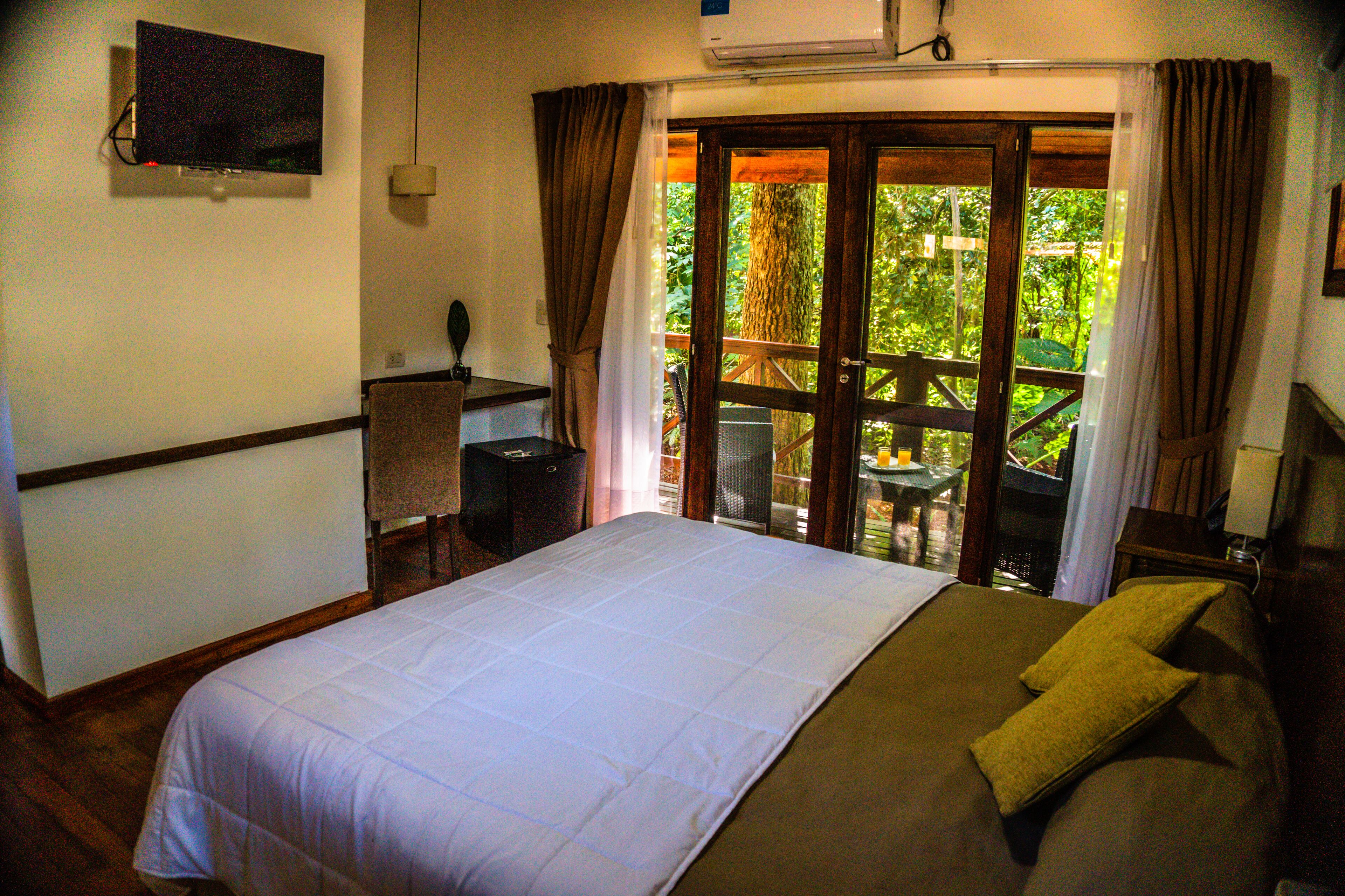 Foto - Selva de Laurel