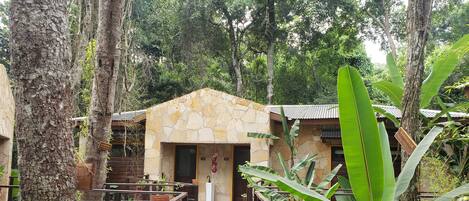 Un sendero de madera conduce a un edificio de piedra rodeado de follaje tropical.