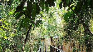 Un pont en bois, doté de garde-corps métalliques, est entouré d’un feuillage verdoyant et luxuriant.