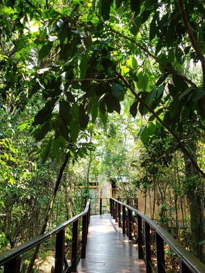 Exterior - Selva de Laurel (Puerto Iguazú)