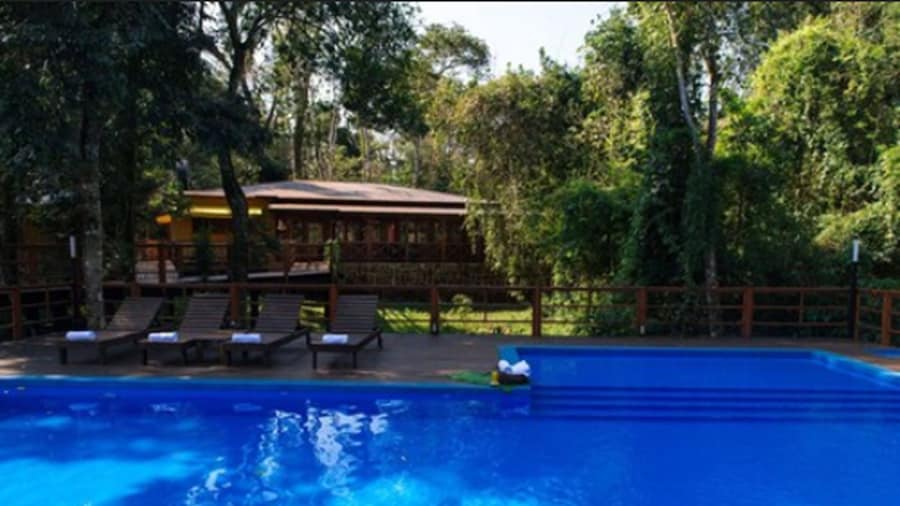 Selva de Laurel
