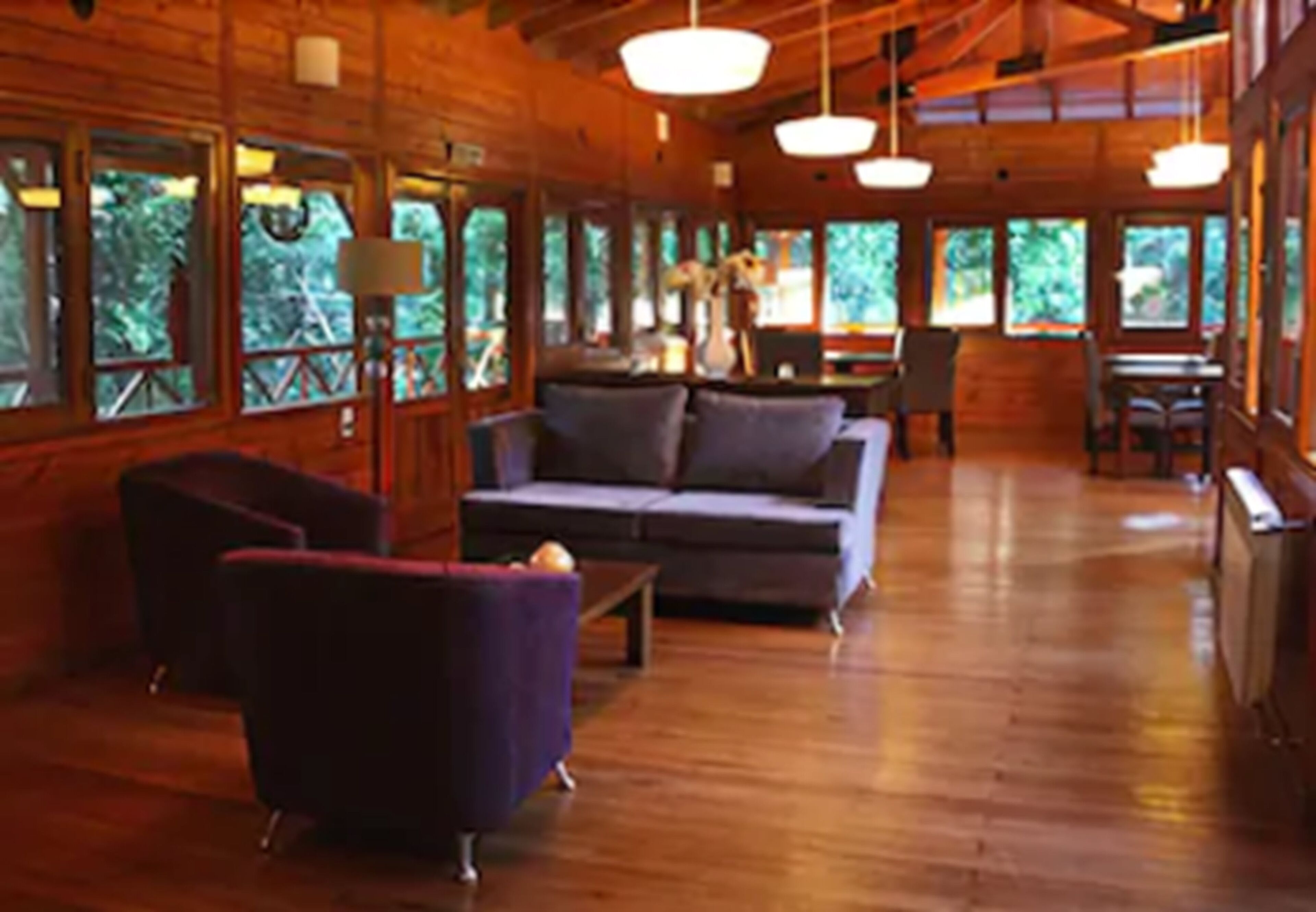 Foto - Selva de Laurel