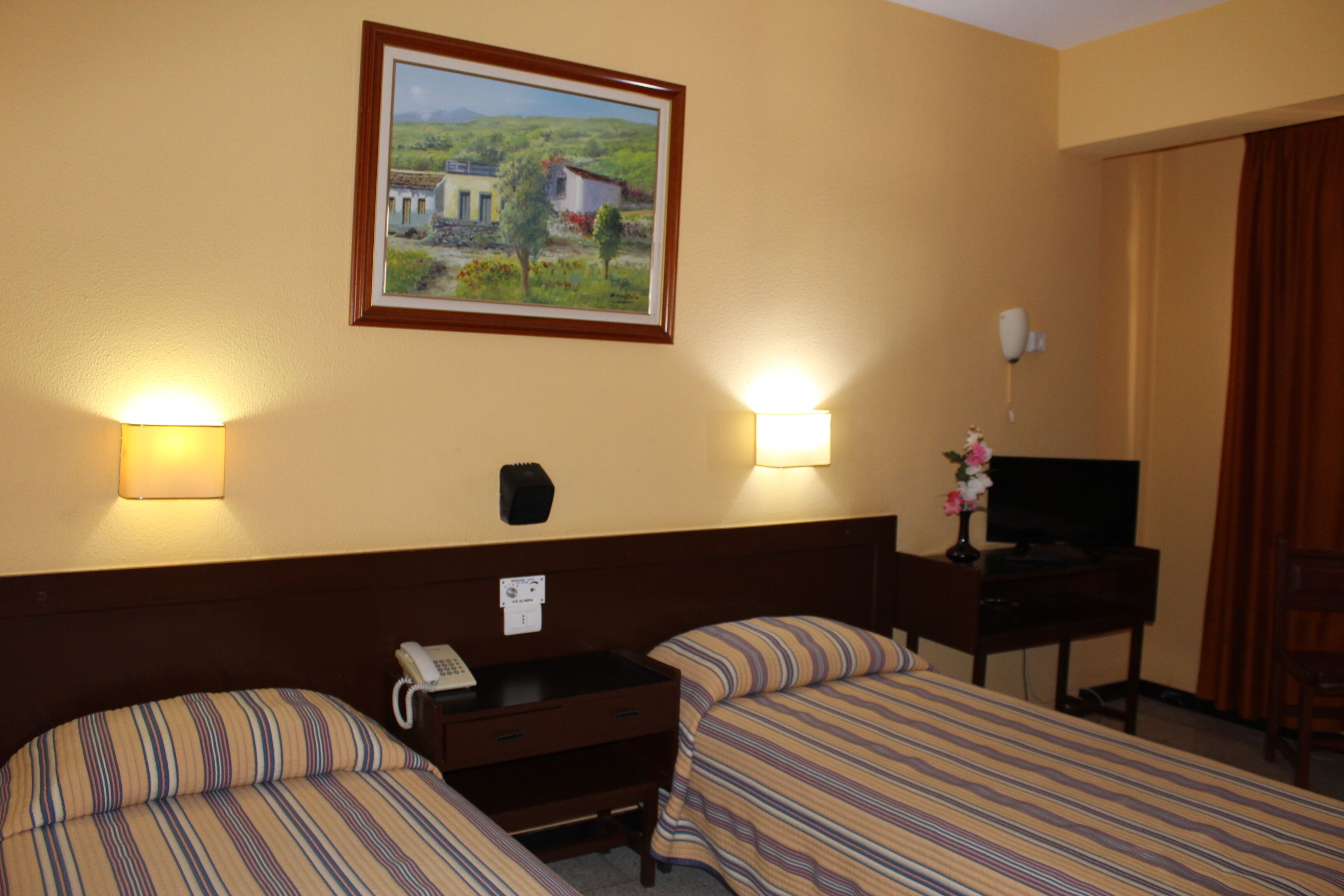 Habitación de hotel con dos camas, un escritorio, un televisor y un cuadro en la pared.