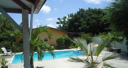 Happy Turtle Apartments