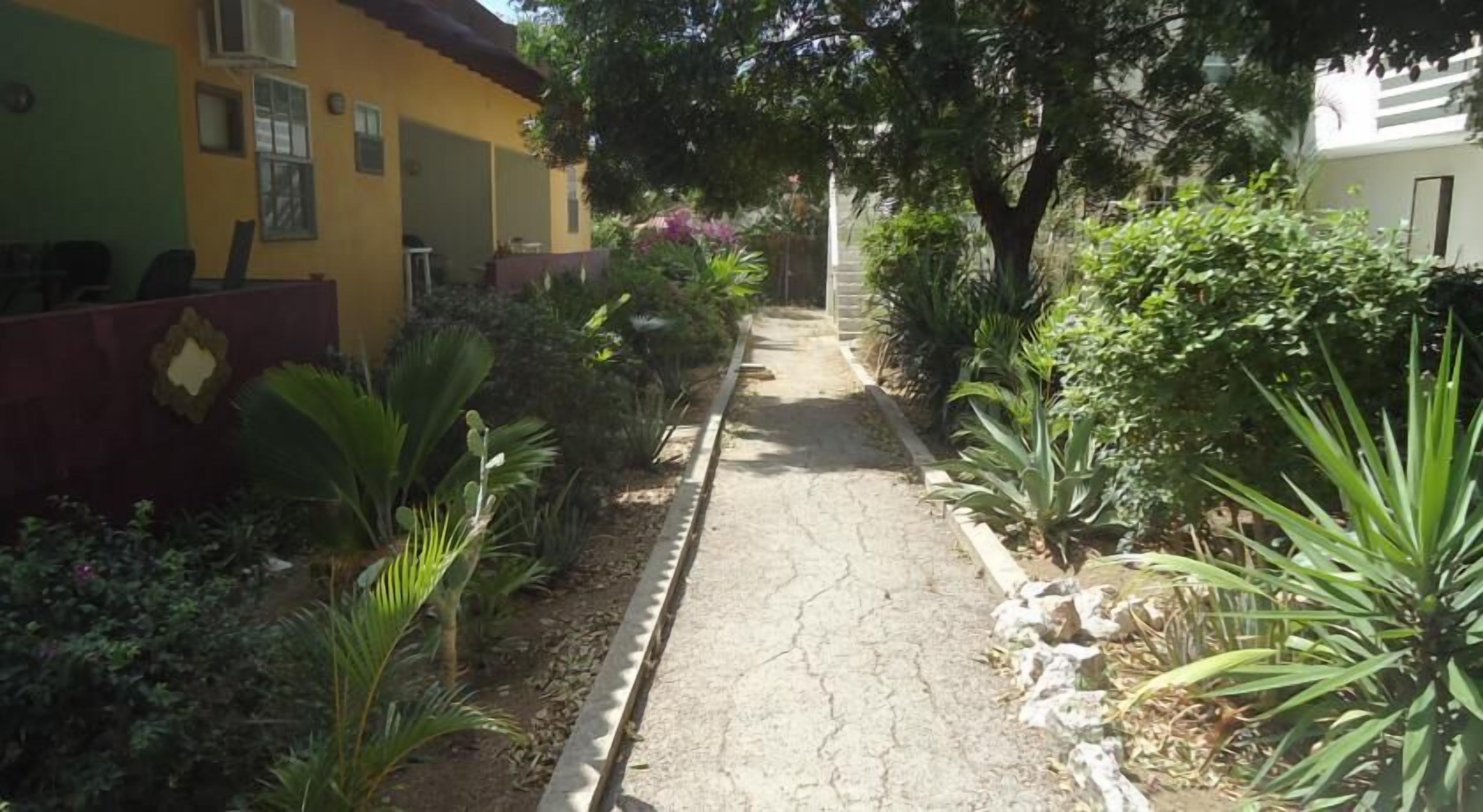 A pathway flanked by greenery and a building with a yellow facade.