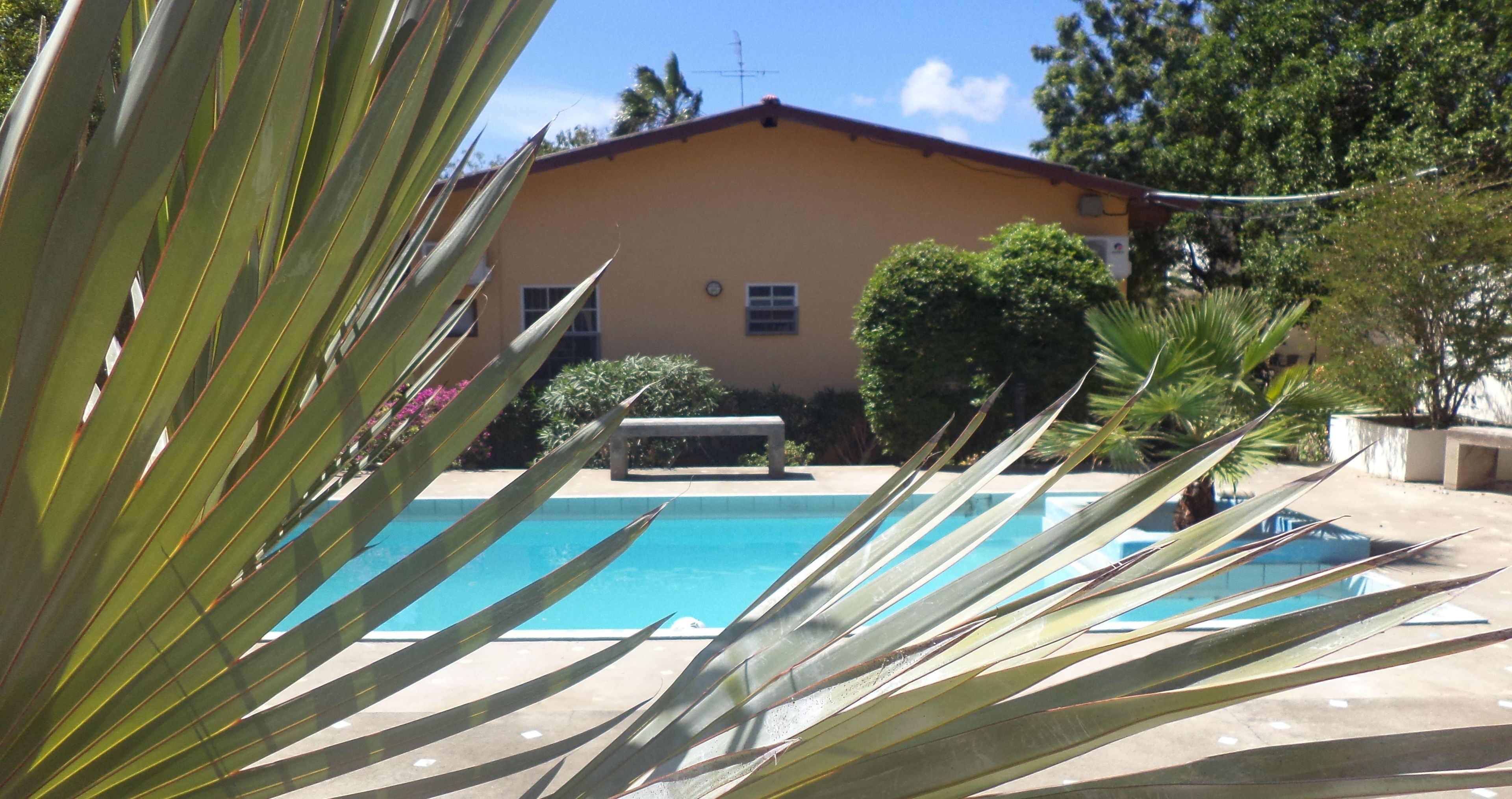 Una piscina con vistas a un edificio y follaje circundante.