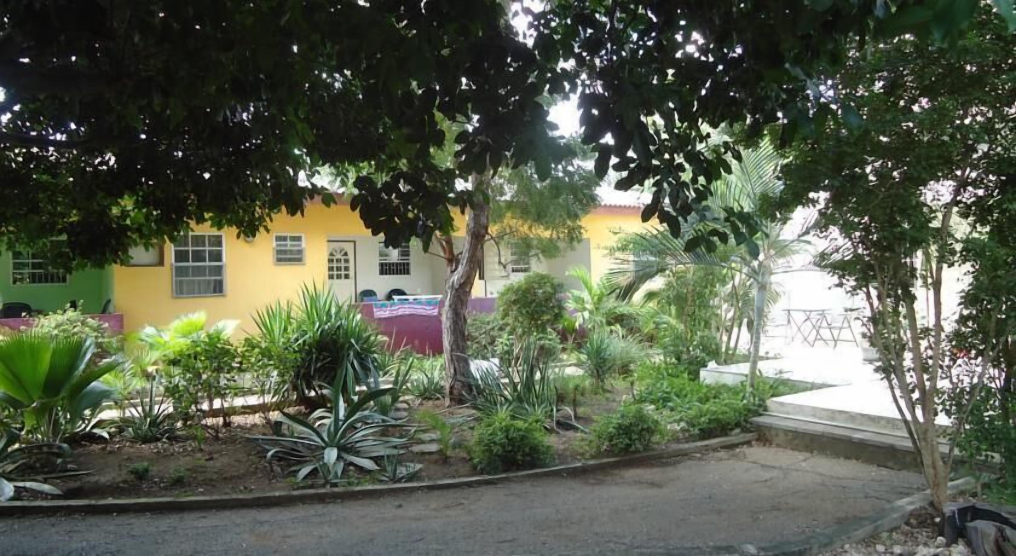 A yellow building with a red awning, surrounded by various plants and trees.