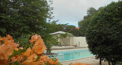 Happy Turtle Apartments