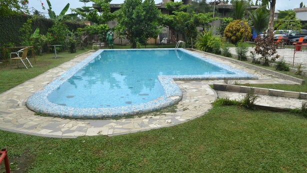Une piscine rectangulaire dont le bord est recouvert de carreaux, entourée d’une pelouse et de différentes plantes.