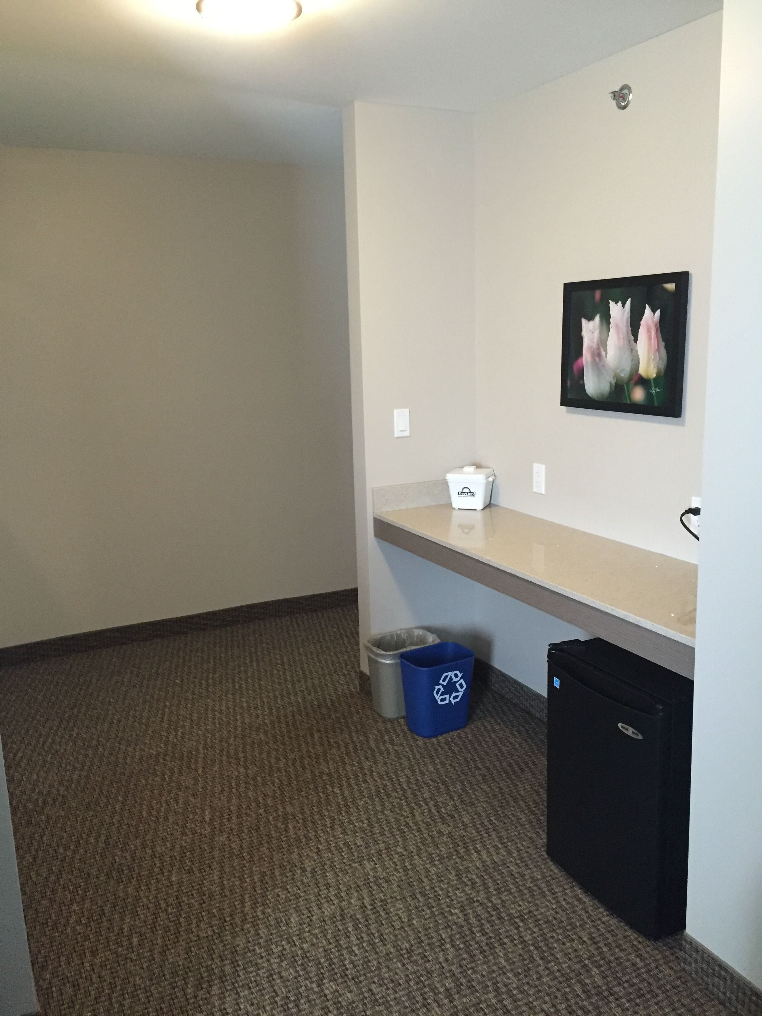 A small, clean room with a beige carpet, a trash bin, a recycling bin, and a picture frame on the wall.