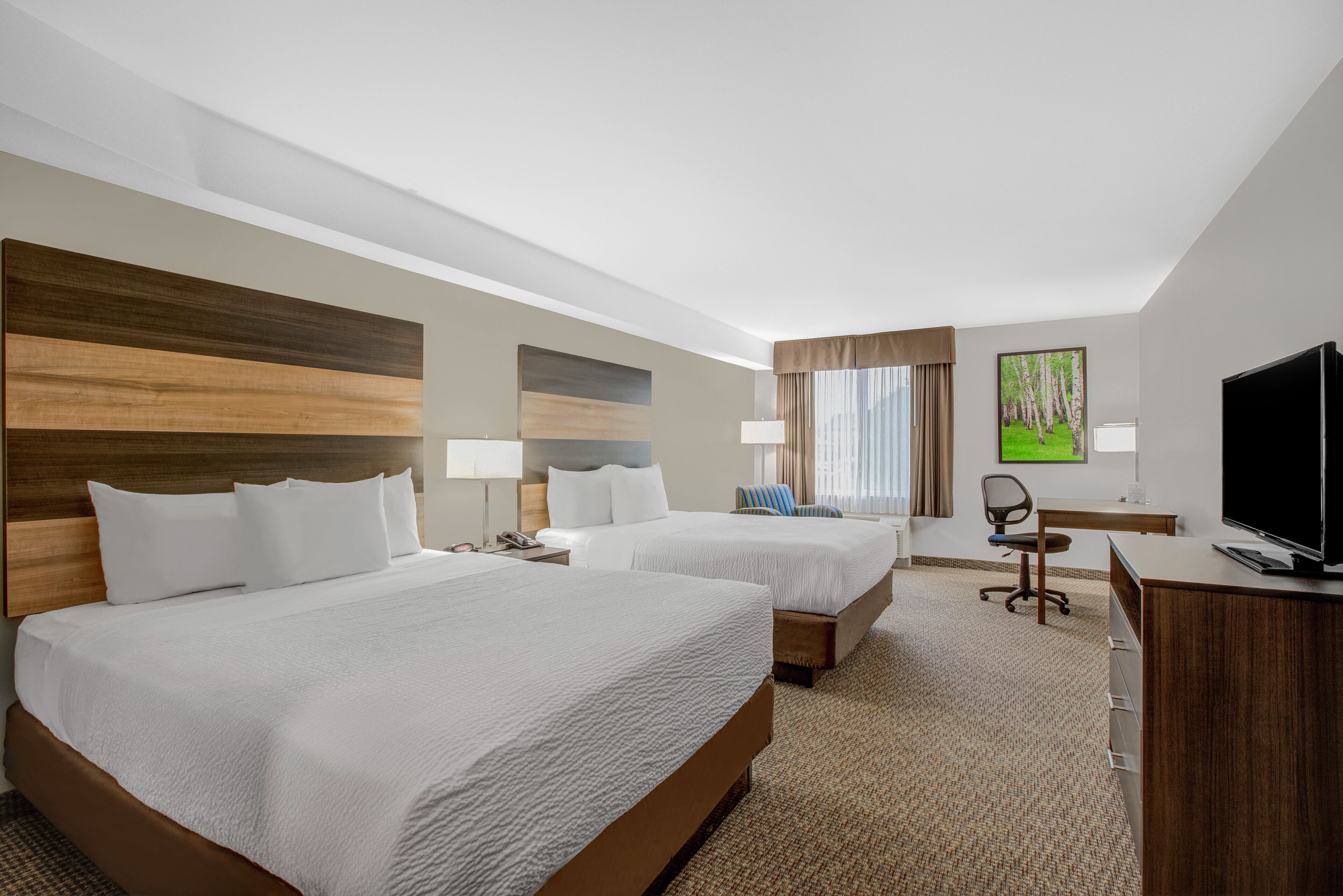 room, 2 queen beds, non smoking | in-room safe, desk, iron/ironing board, free cots/infant beds