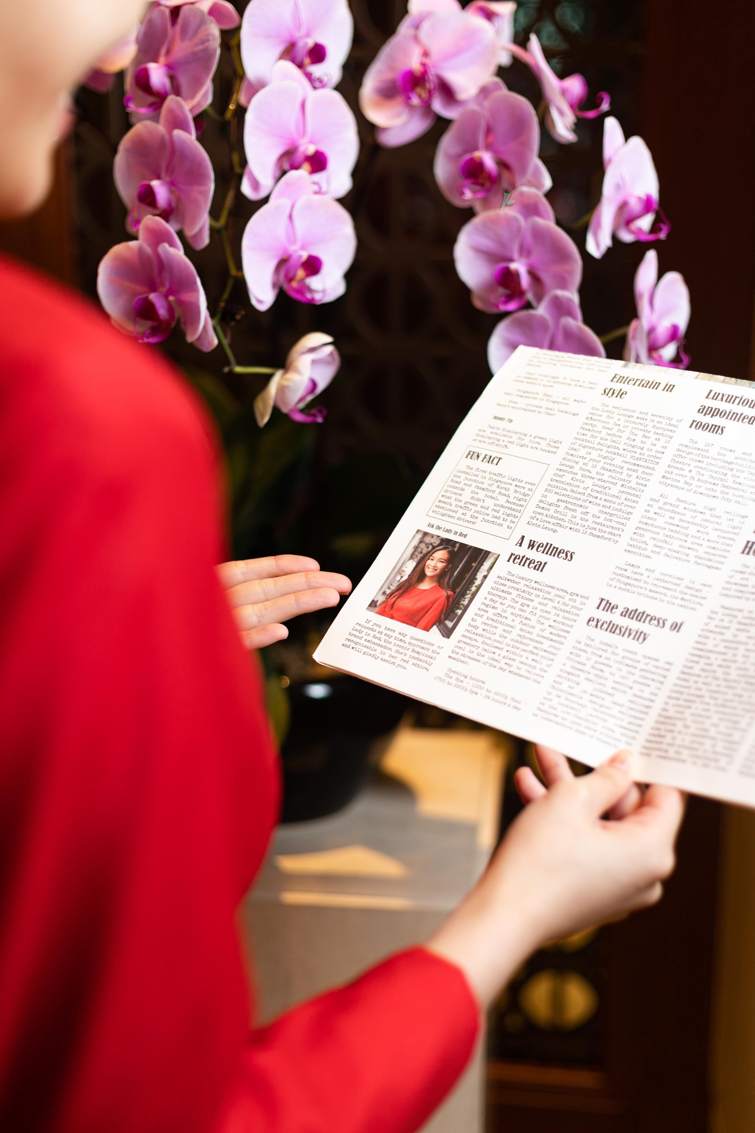 Una persona leyendo un folleto con texto e imágenes, con orquídeas púrpuras de fondo.