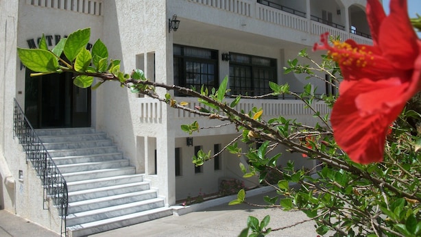 Un edificio con varios balcones, una escalera que conduce a la entrada y una flor roja en primer plano.