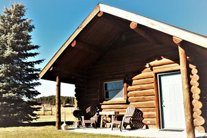 Cabin (Number 1) | Terrace/patio