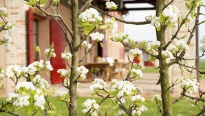 A tree with white blossoms in front of a building with red doors. - Agriturismo Ca' Lealtà (Caorle)