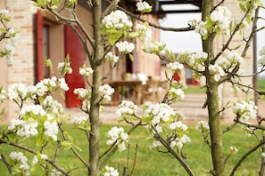 Détail de l’extérieur