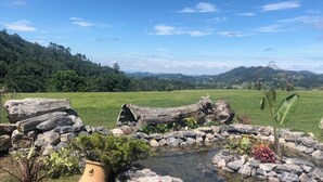 Un jardín con un estanque, rocas y plantas.