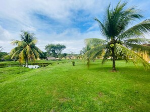 Tweepersoonskamer | Uitzicht op de tuin