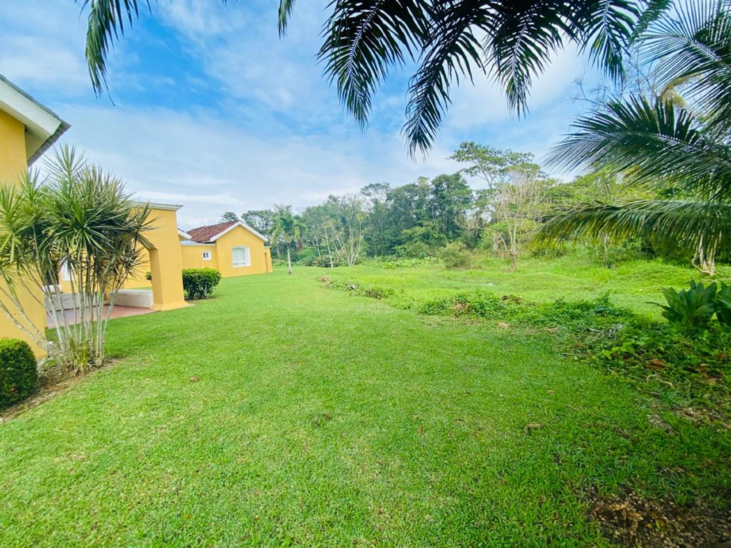 deluxe studio | garden view