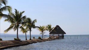 Une plage bordée de palmiers, une cabane à toit de chaume et une eau calme.