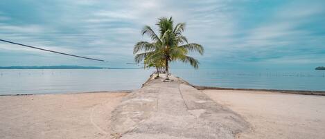Un camino de concreto que lleva a una palmera junto a un mar tranquilo.