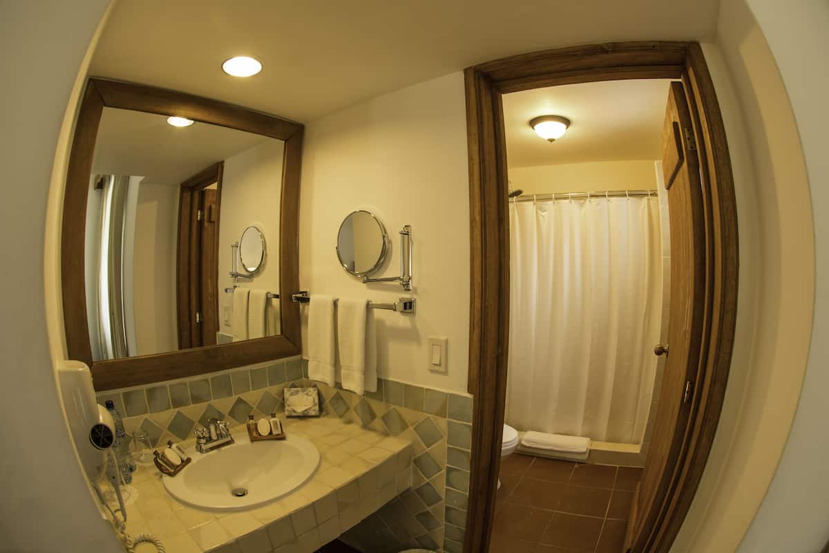 shower, free toiletries, hair dryer, towels