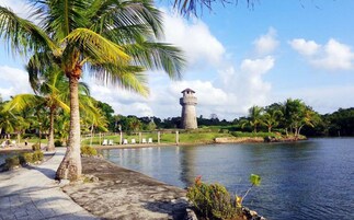A serene lakeside setting with a stone tower, palm trees, and a paved walkway.
