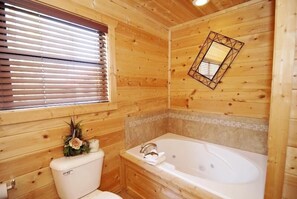 Combined shower/bathtub, free toiletries, hair dryer