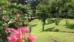 A garden with pink bougainvillea flowers, a well-maintained lawn, and a variety of trees. - Hotel Bergblick (Pomerode)