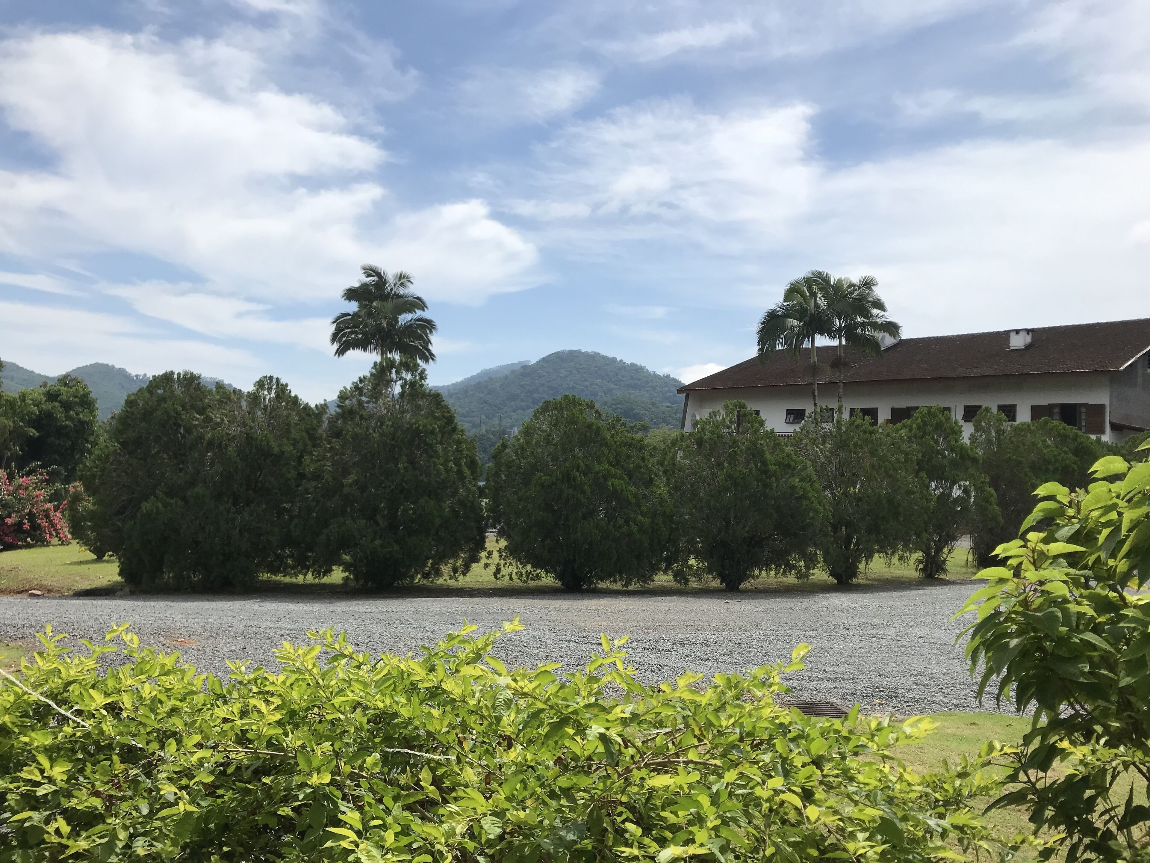 senior suite, accessible | mountain view