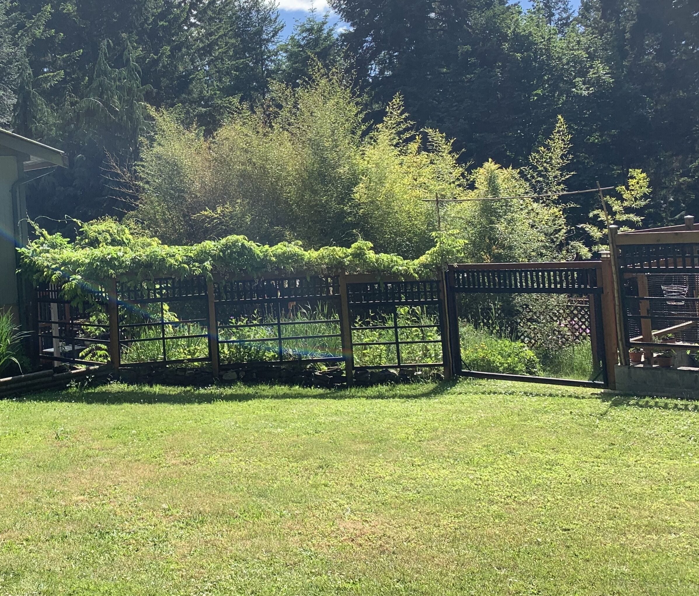 Un jardin clos, agrémenté d’une végétation luxuriante et d’une pergola en bois.
