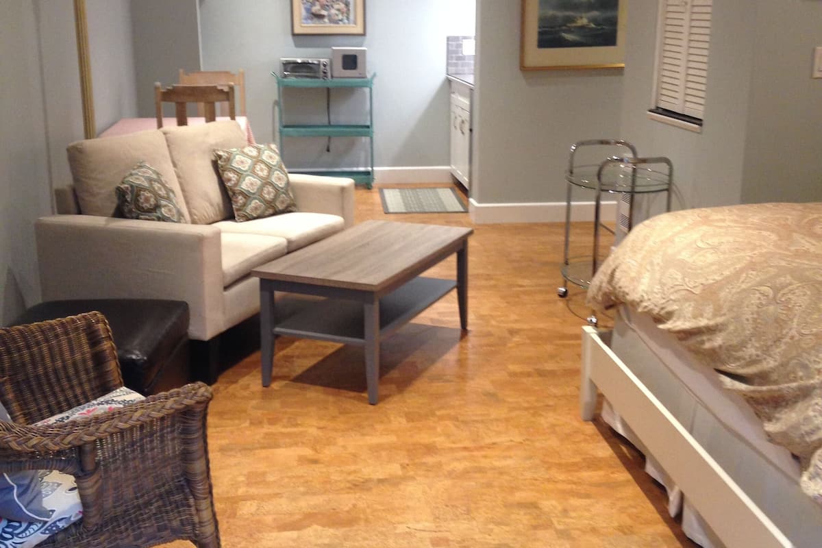 A compact living space with a sofa, a small table, a wicker chair, a bed, a kitchenette, and a dining table.