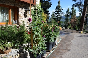 Property grounds - Where Eagles Fly Bed & Breakfast (Zephyr Cove)